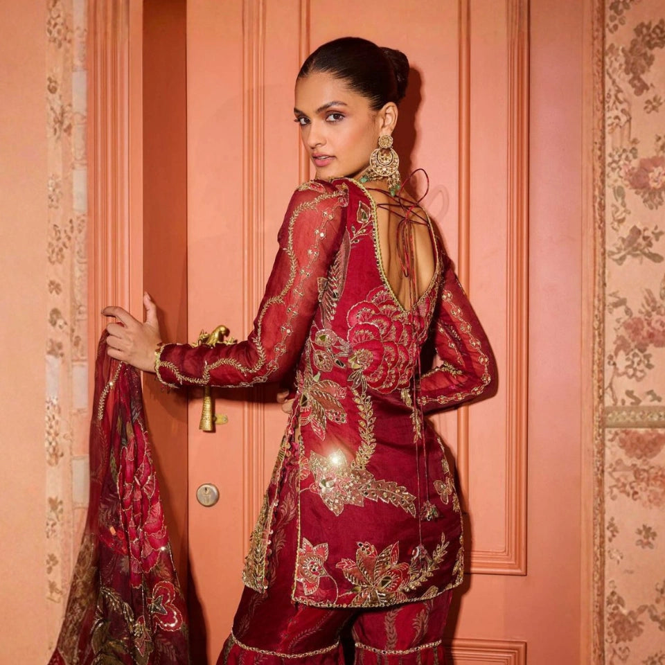 Noor Organza Mirror Work Sharara Set